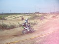 動画:.