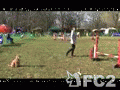 動画:20101220AG3