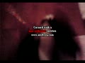 動画:もっと優しくっ(-_-メ)